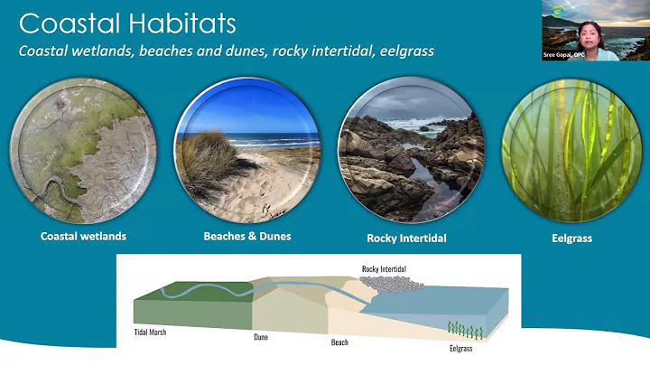 Tracking Coastal Habitat Change Over Time: Considerations for a Statewide Mapping Program
