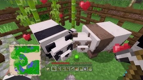 Minecraft PS4 Edition - Zoologist trophy, Panda breeding