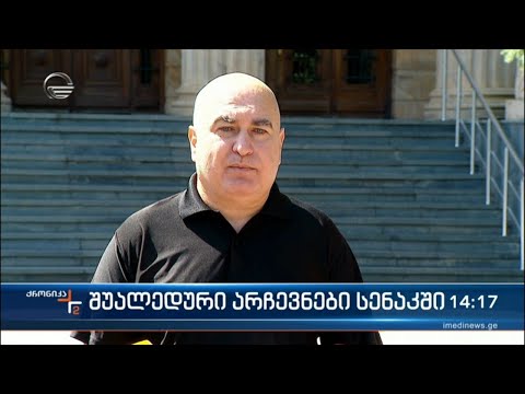 შუალედური არჩევნები სენაკში