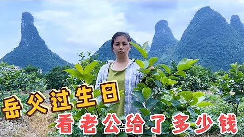 姑娘远嫁广西9年没回娘家，如今岳父过生日，看看老公给了多少钱 - 天天要闻
