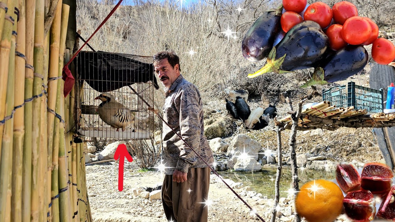 «Жизнь в диких высокогорьях Ирана: где выживают только кочевники»