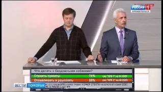 Отлавливать и усыплять бродячих псов - за это проголосовали зрители ток-шоу "Позиция" Отлавливать и усыплять бродячих псов - за это проголосовали зрители ток-шоу "Позиция"