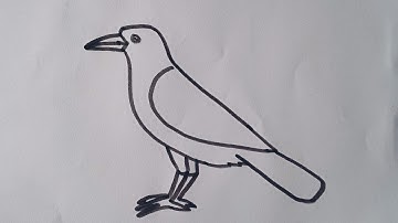How to draw a Crow/easy and simple drawing step by step/Crow drawing easy way