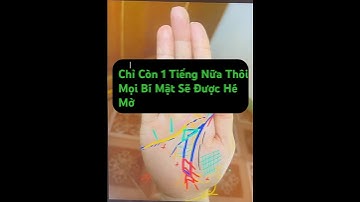 CHỈ CÒN 1 TIẾNG NỮA! Bạn Phải Xem Bàn Tay Này – Cá Chép Hoá Rồng & Thuyền Bát Nhã #chitay #phongthuy