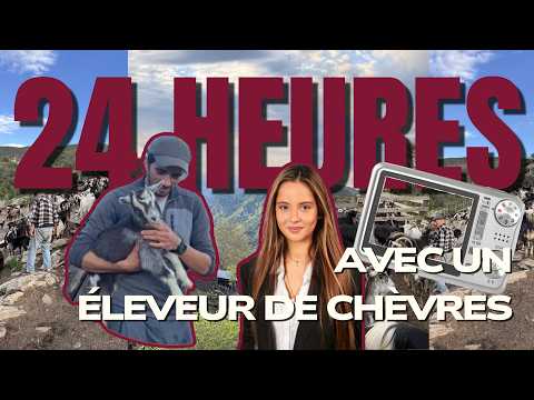 Image du reportage 24h avec un éleveur de chèvres corses (Élia Santa Baldi)