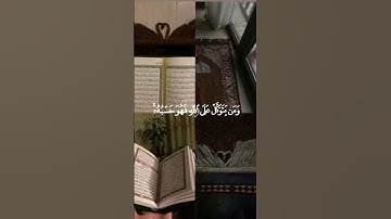 ومن يتق الله يجعل له مخرجا #قرءان #اكسبلور #قرءان_كريم #خشوع_طمأنينه_راحه_للقلب #لايك #تلاوة_خاشعة