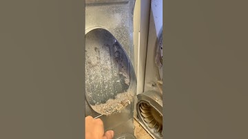 Shocking Truth About Lint Buildup in Your Dryer #dryer #diy