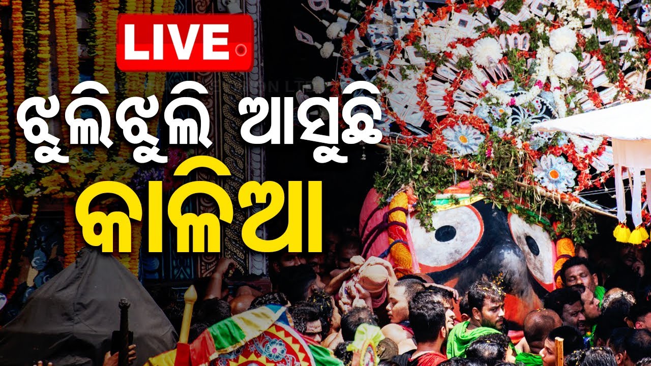 ????Live | ହଲି ହଲି ଝୁଲି ଝୁଲି ଆସୁଛନ୍ତି କାଳିଆ ସାଆଁନ୍ତ | Bahuda Yatra 2024 | Rath Yatra 2024 | Puri