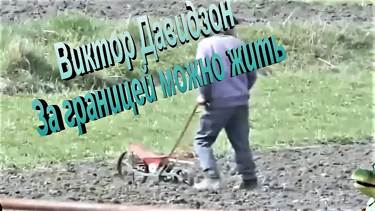 песня за границей. клип за границей можно жить. за границей можно жить песня. клип за границей можно жить. жили-были дед даба витор довидзон.