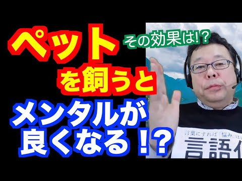 保護犬・保護猫の譲渡に関する5つの誤解と本当の事実
