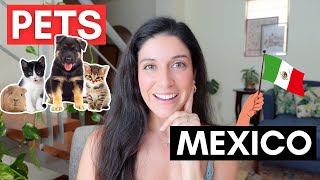 How to Avoid Quarantine When Traveling to Mexico With Pets