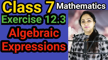 Class 7, Mathematics, Exercise 12.3, Algebraic Expressions
