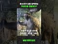 일론 머스크가 뇌로 입력하는 키보드를 만들었다 #shorts