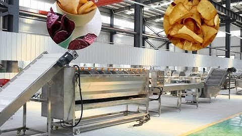 Yucca Root Chips Production Line