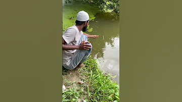 Hook Fishing Video Hook Fishing Fishingtechniques 
