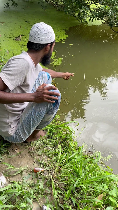 Hook fishing video #hook_fishing #fishingtechniques