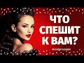 ЗАГАДАЙ КАРТУ И УЗНАЙ СВОЕ БУДУЩЕЕ! ЧТО СПЕШИТ В ВАШУ ЖИЗНЬ? КАК ИЗМЕНИТСЯ  ЖИЗНЬ? расклад на судьбу