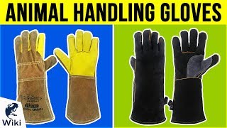 10 Best Animal Handling Gloves 2019