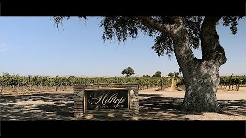 J. Lohr Hilltop Cabernet Sauvignon