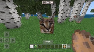 Floppa MOD in Minecraft PE (No Commentary)