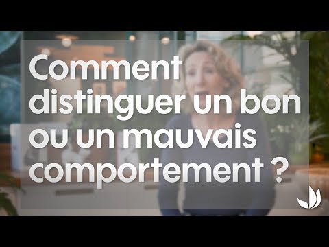 Vidéo: Comment Lire Le Comportement Du Chat Pour Réduire Le Risque De Morsure De Chat