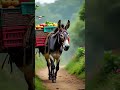 घोड़े को मिली सिख 🐎#emosnal #lifeisbutadream #like #कमेंट #share #subscribe ...🐎