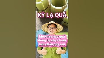 Bạn có tin không 👉 Bẹ chuối tưởng chỉ để bỏ đi, lại có thể trở thành chiếc chậu trồng cây tuyệt vời