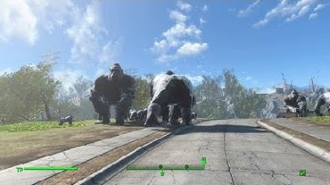 Fallout 4 / der Gorilla MOD...Ulkig
