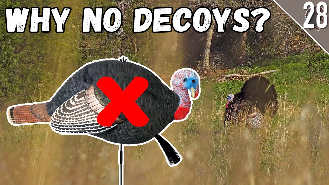 Why DON'T we use Turkey Decoys??