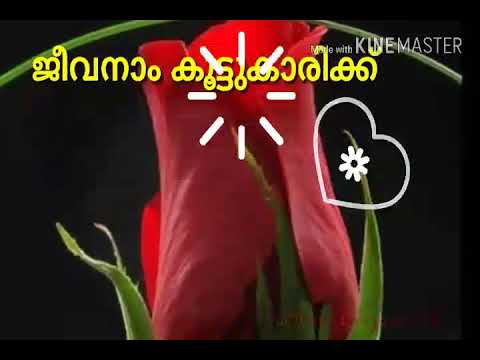 Female  പണംകൊണ്ടത് ഉപമിച്ചിടല്ലേ ആത്മാർഥ എൻ സ്നേഹം