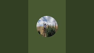 7_AZ_BearGrow420 is live!