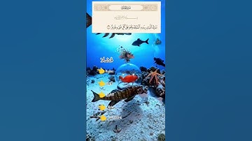 سورة الملك . تبارك الذي بيده الملك #اكسبلور #ا