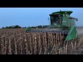 Жнива соняшника🌻SUNFLOWER HARVEST