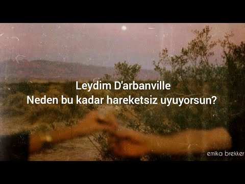 Lady D'arbanville - Cat Stevens (Türkçe Çeviri)