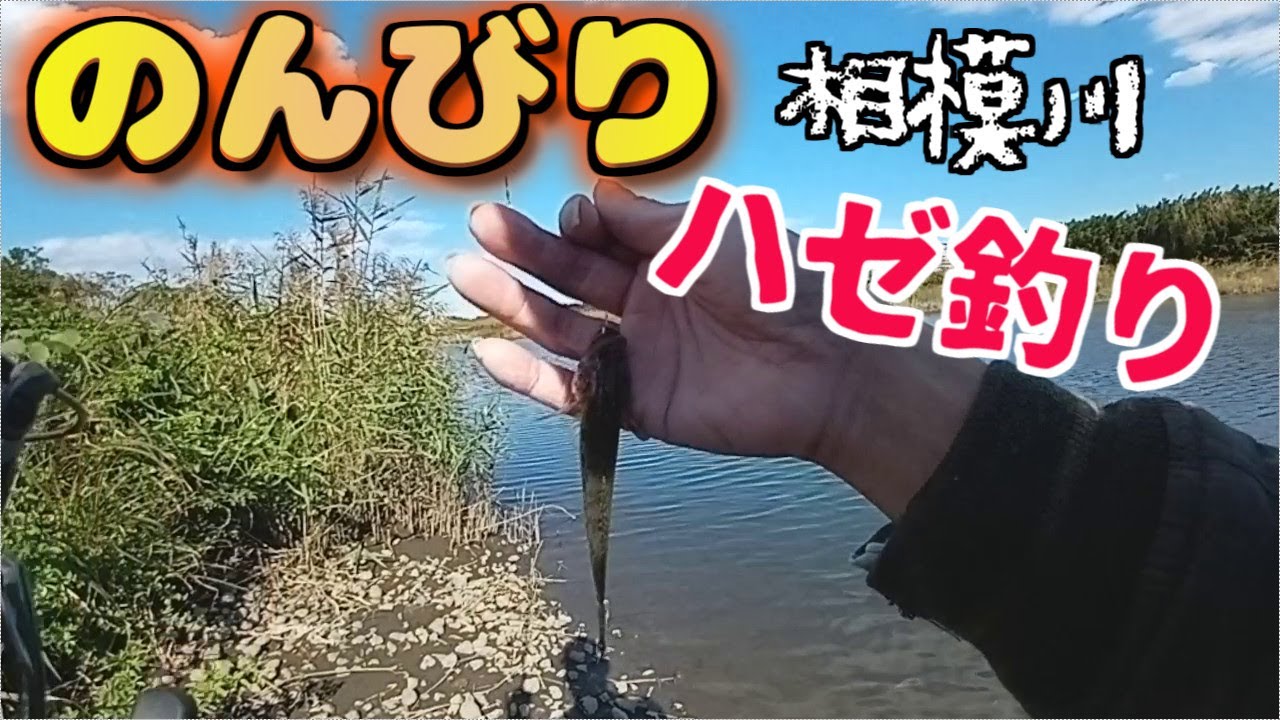 相模川でテナガエビ釣り 22年5月 Youtube