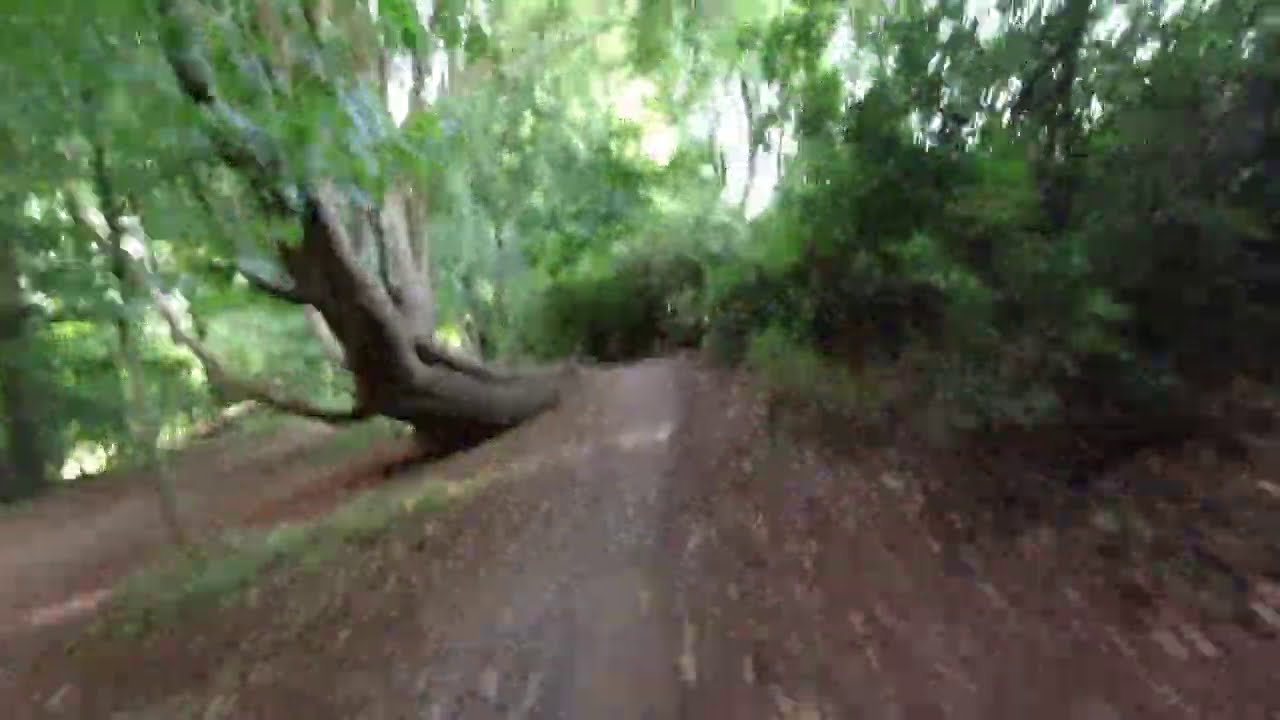 Ashton Court bike trail YouTube