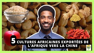 Business agricole : exportation Afrique-Chine, quelle culture cibler ?