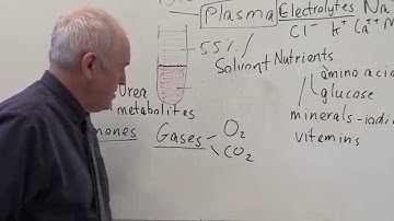 Blood 1, Plasma, constituents and functions