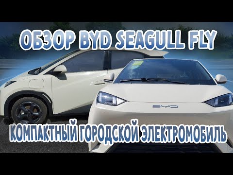 Видео: Компактный городской электромобиль BYD Seagull