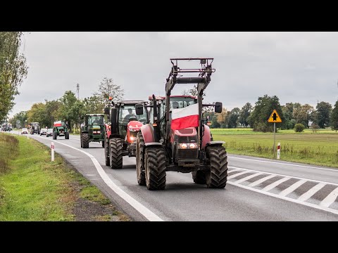 Wideo: Czym jest prochowiec w rolnictwie?