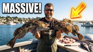 Depoe Bay Bottom Fishing w:Reef Robber