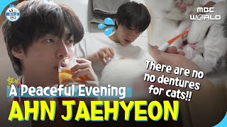 [C.c.] Jaehyeon's Happy Night With Every Single Type Of Alcohol (Feat. Flossing) #Ahnjaehyeon