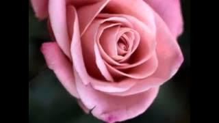 Download lagu My First Video Maidany (Kaca yang Berdebu)