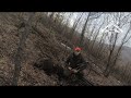 E125 Pogonski lov na Divlje Svine na Deli Jovanu/Wild boar Driven hunt