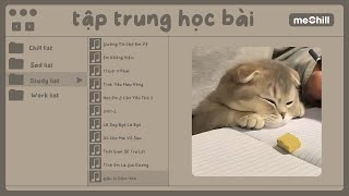 Playlist speed up nhẹ nhàng cho mí bạn tập trung ôn thi cuối kì cuối cấp 🍀 | Con Mèo Béo