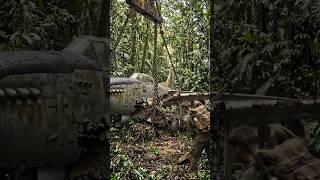 From Jungle Ruin to Flying Legend |Full RestorationHidden WWII Aircraft Discovered in a Lost Jungle