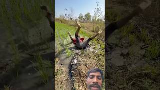 Khun Nakli hai #shorts #bhau #funny #kisan #kheti #sodamarne #comedy #newthought #kisancomedyvideo