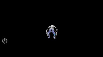 OpenCap MOCAP UTEC Biomechanics Final Project