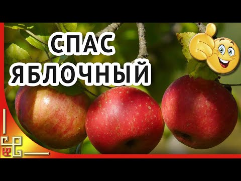 Преображение Господне ЯБЛОЧНЫЙ СПАС. Поздравление с Яблочным Спасом
