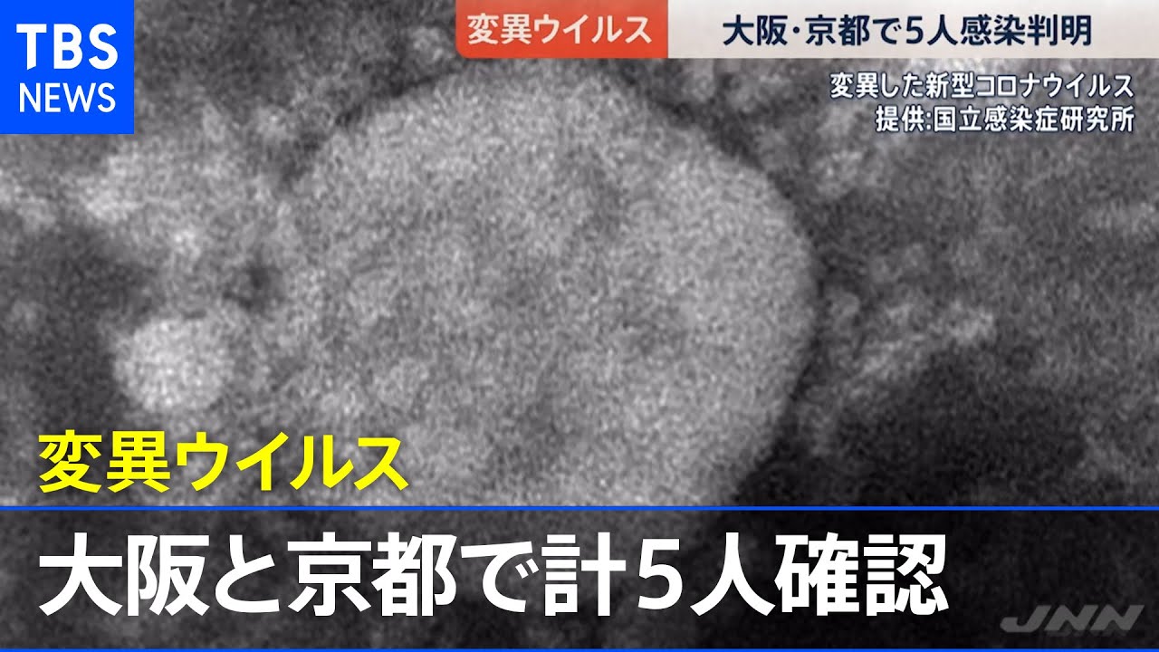 変異 ウイルス ウイルス 変異